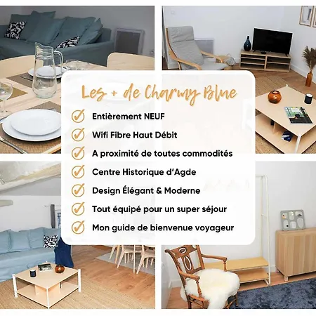 Le Charmy Blue * Wifi * Centre Historique Apartman *